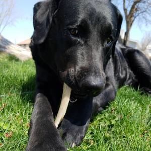 Meet your Posher, Travis